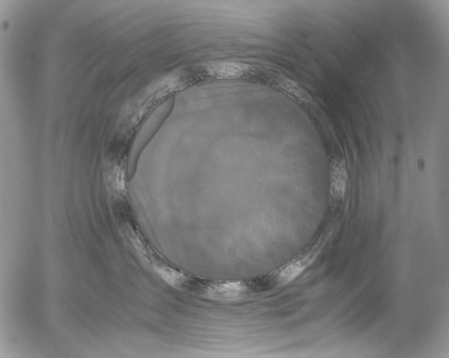 X0000052650431200507292335