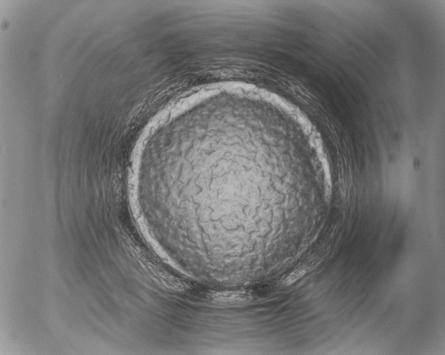 X0000052650461200507292335