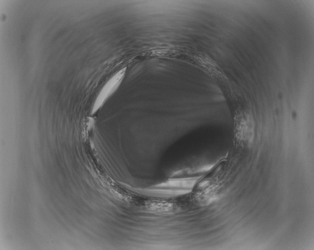 X0000052650471200507292335