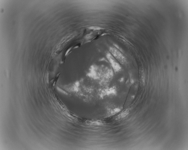 X0000052650475200507292335