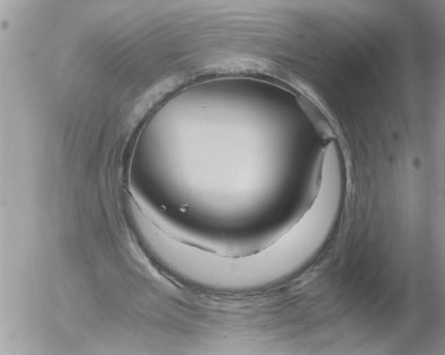 X0000052650485200507292335