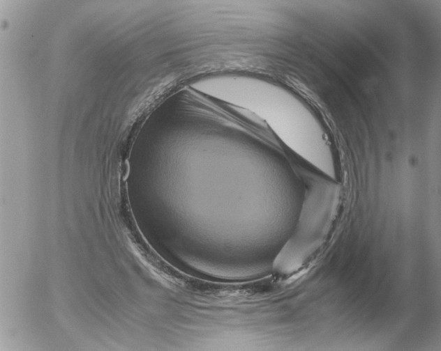 X0000052650493200507292334