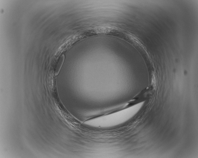 X0000052650501200507292334