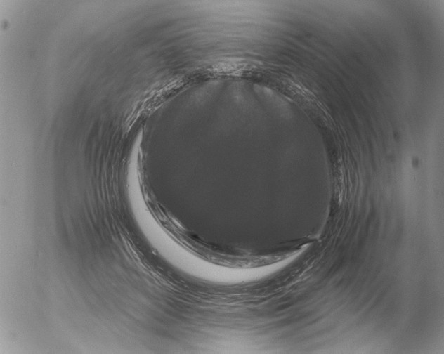 X0000052650504200507292334