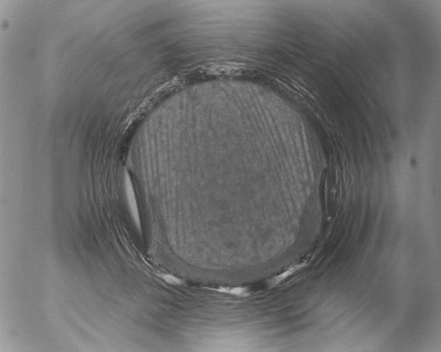 X0000052650508200507292334
