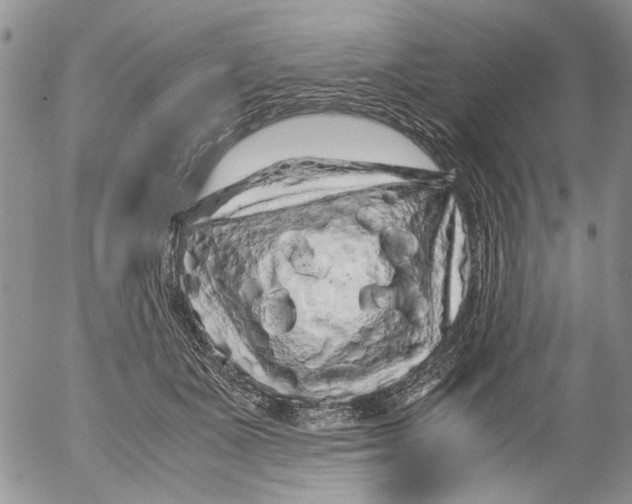 X0000052650511200507292334