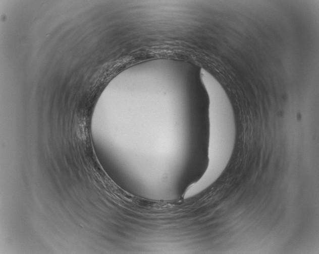 X0000052650514200507292334