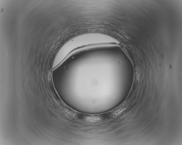X0000052650515200507292334