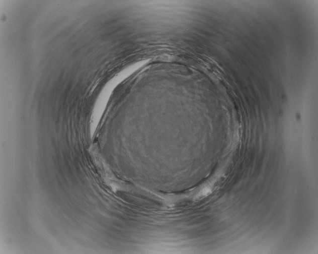 X0000052650516200507292334