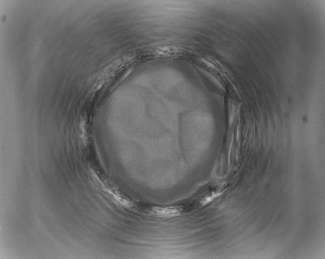 X0000052650520200507292334