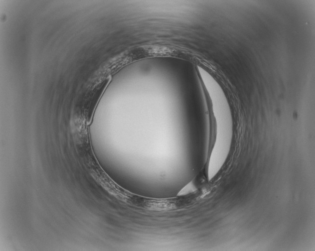 X0000052650521200507292334