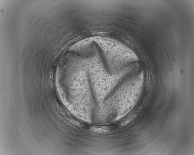 X0000052650557200507292334