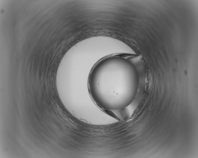 X0000052650571200507292334