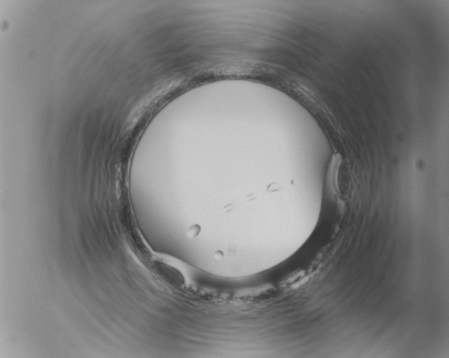 X0000052650586200507292333