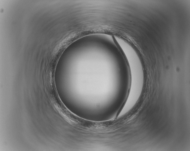 X0000052650589200507292333