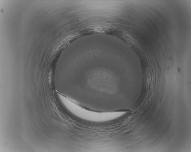 X0000052650595200507292333