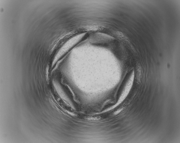 X0000052650596200507292333