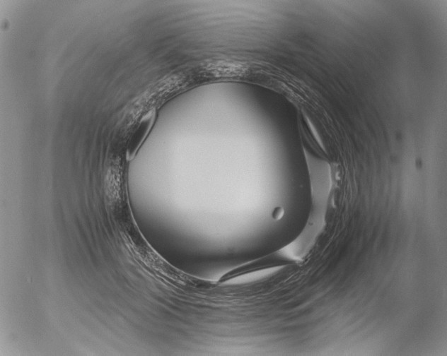 X0000052650604200507292333