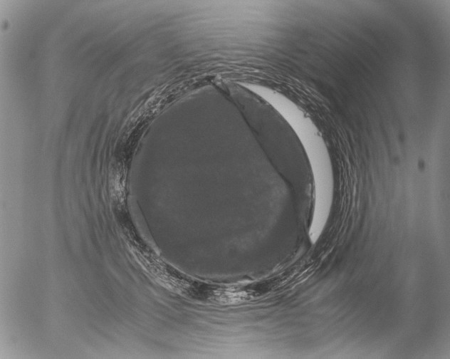 X0000052650607200507292333