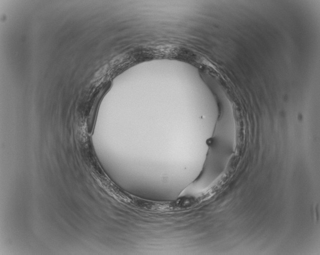 X0000052650613200507292332