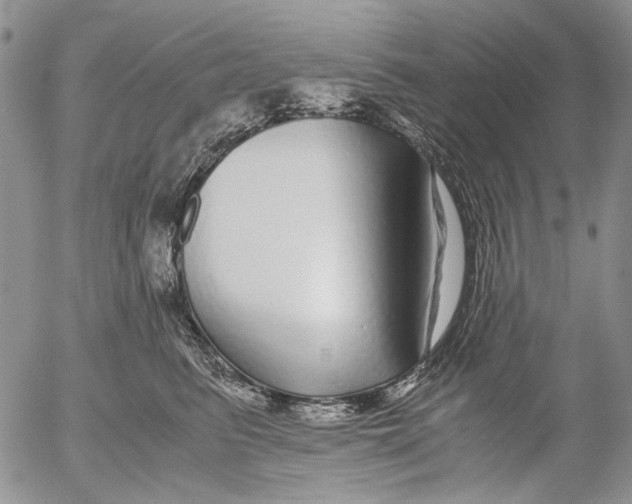 X0000052650615200507292332