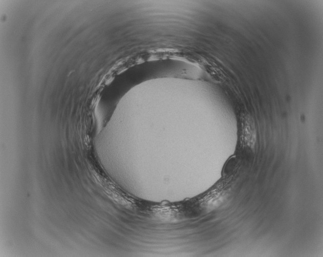X0000052650616200507292332