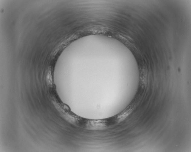 X0000052650622200507292332