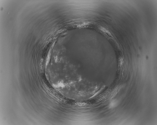 X0000052650650200507292332