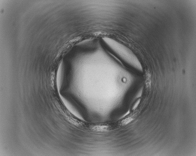 X0000052650664200507292332