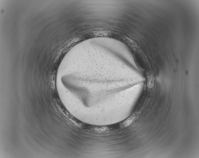 X0000052650666200507292332