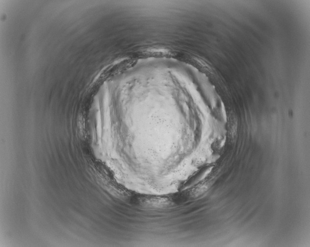 X0000052650669200507292332