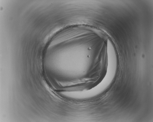 X0000052650677200507292331