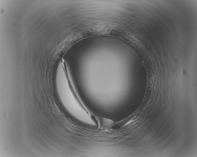 X0000052650693200507292331