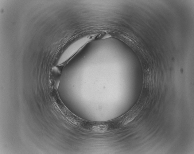 X0000052650700200507292331