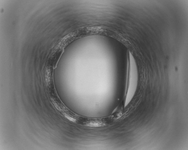 X0000052650708200507292331