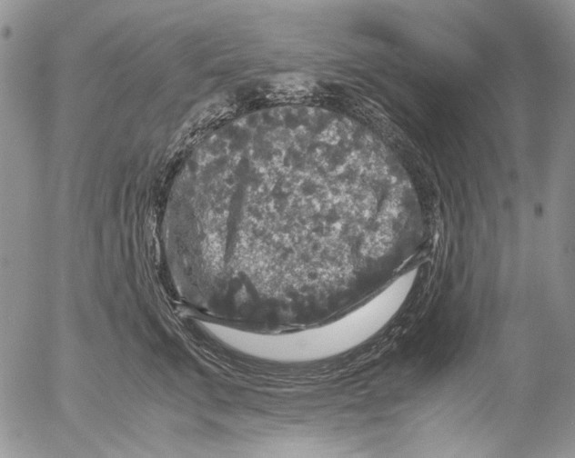X0000052650711200507292331
