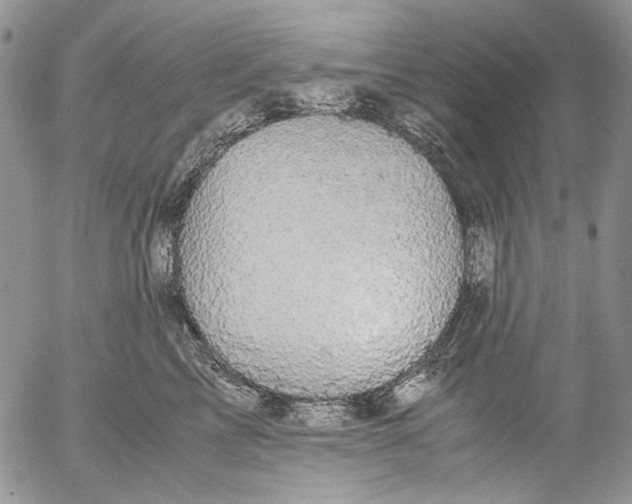 X0000052650713200507292331
