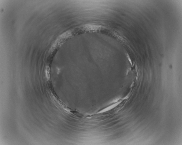X0000052650718200507292331