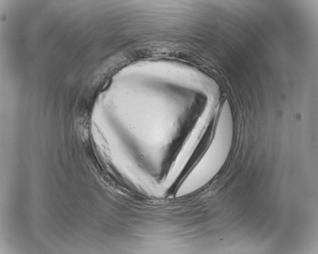 X0000052650719200507292331