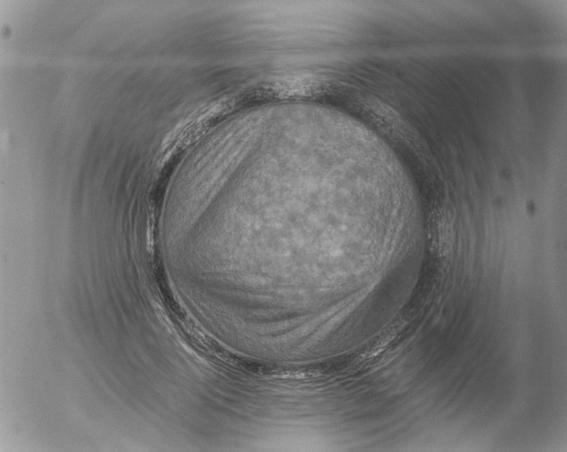 X0000052650740200507292330