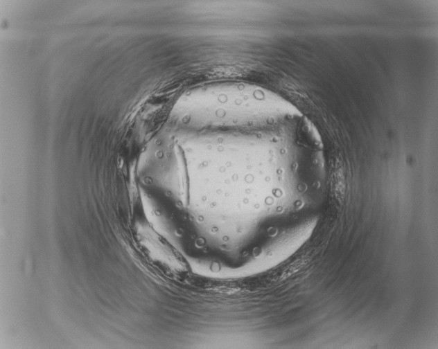 X0000052650742200507292330