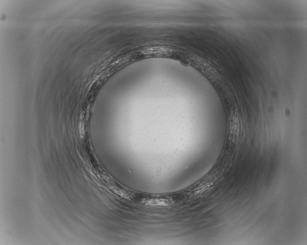 X0000052650751200507292330