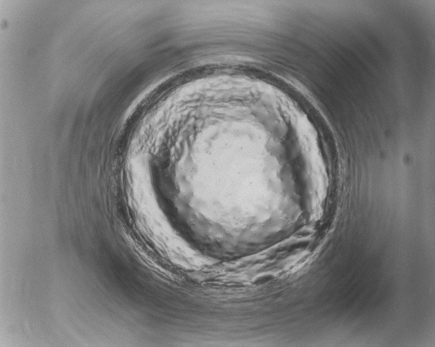 X0000052650783200507292330