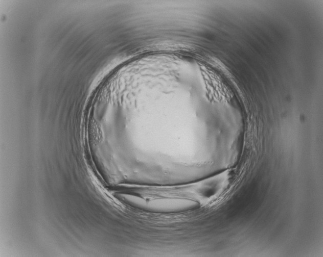 X0000052650795200507292329
