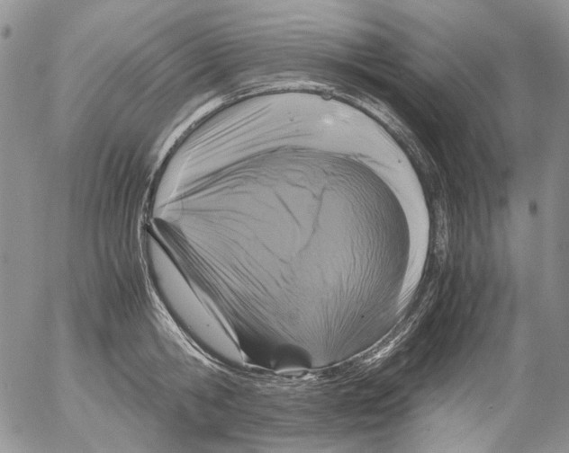 X0000052650806200507292329