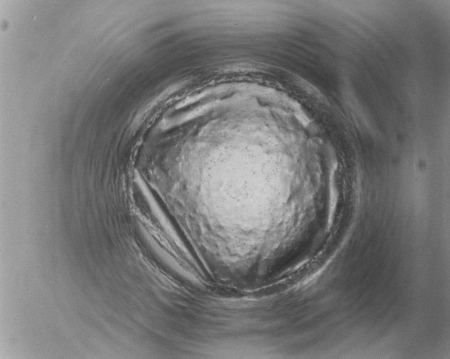 X0000052650825200507292328