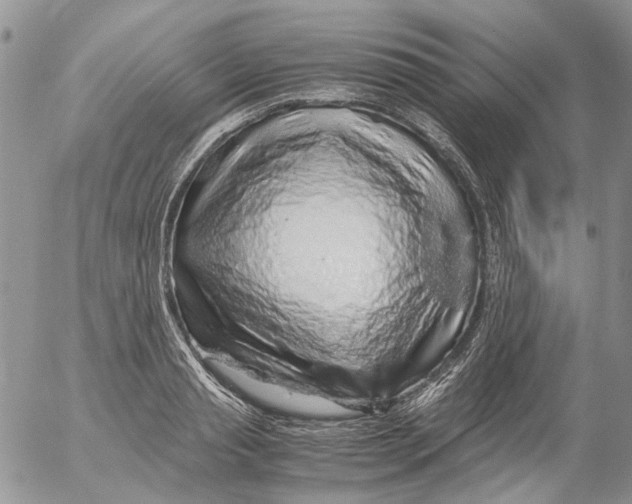 X0000052650845200507292329