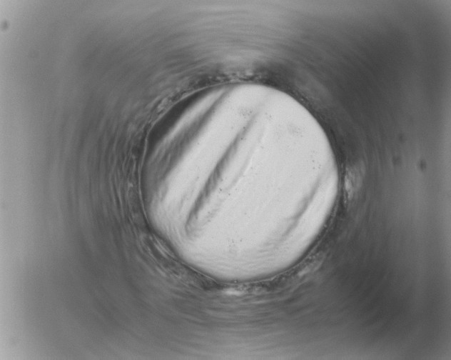 X0000052650867200507292328
