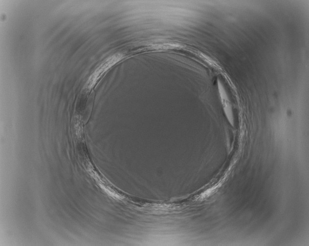 X0000052650889200507292328