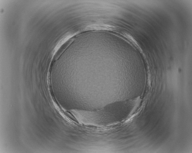 X0000052650893200507292328